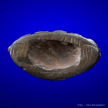 พระกริ่งหลวงพ่อเมี้ยน แจกพ่อครัว พิมพ์79 1