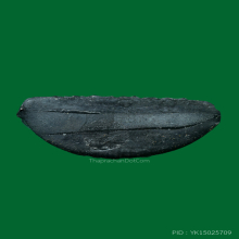 รูปเหมือนปั๊มรุ่นแรก ครูบาวัง วัดบ้านเด่น จ.ตาก ปี 2506