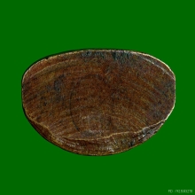 พระกริ่งพระพุทธกวัก หน้าหลวงพ่อโสธรนิยม หลวงพ่อแฉ่ง ปี2499