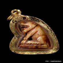 เสือหลวงพ่อสาย วัดคลองด่าน จ.สมุทรปราการ