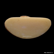 ปู่เจ้าสมิงพรายวราปราการ รุ่นแรก เนื้อกระดูกอาถรรพ์ ปี2545