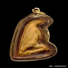 นกสาริกาหลวงพ่อสนิท วัดลำบัวลอย จ.นครนายก