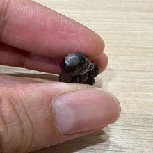 ปิดตาเมฆพัตร หลวงพ่อดิ่ง วัดบางวัว