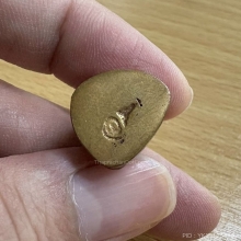 รูปหล่อ หลวงปู่เเหวน อ.เชื้อ หนูเพชร วัดสะพานสูง 