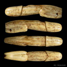 เบญจภาคี เสือมหาอำนาจ หน้าแมวใจดีมีแต่ลาภ