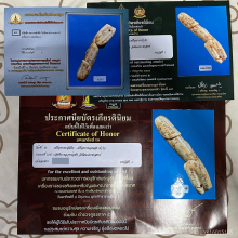 >>>..,ปลัดขิกหลวงพ่อฟัก วัดนิคมฯ 4นิ้ว vาแกะ สวยแชมป์!!!