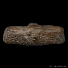 พระหลวงพ่อปาน พิมพ์ทรงไก่โบราณ พร้อมบัตรสมาคม