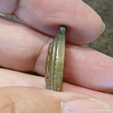 นางกวัก หลวงพ่อเดิม วัดหนองโพ ปี2483 ยันต์ห้า นิยม