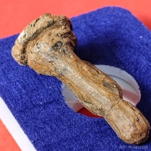 ไม้โพธิ์แกะ หลวงปู่รอด วัดโคนอน