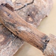 ไม้โพธิ์แกะ หลวงปู่รอด วัดโคนอน