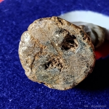 ไม้โพธิ์แกะ หลวงปู่รอด วัดโคนอน