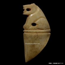 เสือกระดูกแกะหลวงพ่อเรือน วัดบางเหี้ย จ.สมุทรปราการ