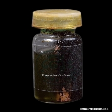 รัก-ยมแช่น้ำมันพราย อ.เปล่ง บุญยืน