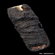 ตะกรุดสาริกาหลวงปู่เอี่ยม วัดหนัง เนื้อทองคำ