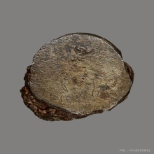 มัจฉานุ เนื้อเงิน มูลนิธิหลวงปู่ทิม ปี2537  ตอกโค๊ด มีจาร 