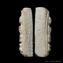 +บัตรสมาคม สมเด็จมีหน้ามีตา วัดประสาท