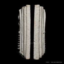 +บัตรสมาคม เกศไชโย7ชั้นนิยมA ซุ้มมีจุด รุ่นเสาร์5