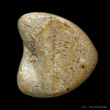 พระปิดตานมควาย พิมพ์ใหญ่ พ่อท่านมุ่ย วัดป่าระกำเหนือ