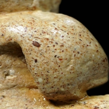 พระปิดตานมควาย พิมพ์ใหญ่ พ่อท่านมุ่ย วัดป่าระกำเหนือ