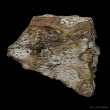 ชิ้นส่วน พระสมเด็จบางขุนพรหม กรุใหม่