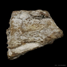 ชิ้นส่วน พระสมเด็จบางขุนพรหม กรุใหม่