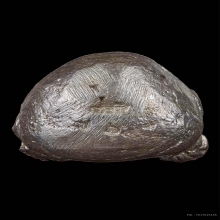 รูปเหมือนหล่อโบราณหลวงปู่หงษ์  รุ่นโปร่งฟ้า ปี2546 เนื้อเงิน