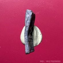 เหรียญหล่อหลวงปู่ศุข พิมพ์ประภามณฑลข้างเรียบ