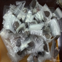 หลวงพ่อสวาสดิ์  200 องค์