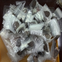 หลวงพ่อสวาสดิ์  200 องค์