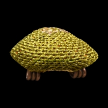 เบี้ยแก้ หลวงปู่เจือ วัดกลางบางแก้ว