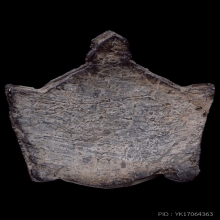 พระราหูกะลาแกะหลวงพ่อสังข์ วัดนากันตม ยุคต้น