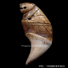 เขี้ยวเสือหลวงพ่อนก วัดสังกะสี ยุคต้นเก่ามาก