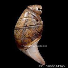 เขี้ยวเสือหลวงพ่อนก วัดสังกะสี ยุคต้นเก่ามาก