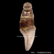 เขี้ยวเสือหลวงพ่อนก วัดสังกะสี ยุคต้นเก่ามาก