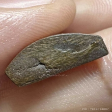 รูปหล่อกายสังขารหลวงปู่เดินหน อิเกสาโร