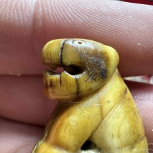 เสือหลวงพ่อปาน วัดคลองด่าน เนื้อเขี้ยว