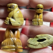 เสือหลวงพ่อปาน วัดคลองด่าน เนื้อเขี้ยว