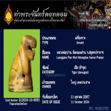 เสือหลวงพ่อปาน วัดคลองด่าน เนื้อเขี้ยว