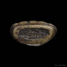 พระชัย วัดหนัง