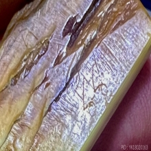 พระพุทธปางไสยาสน์ งาแกะเก่าแห้งหลังจารย์ ตัวจริง