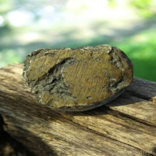 รูปหล่อหลวงพ่อเงิน เต็มองค์ อ.แจ๊ะ วัดบางคลาน จัดสร้าง