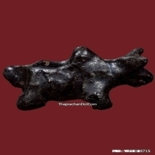 วัวธนูครูบานันตา วัดทุ่งม่านใต้ ปี2500