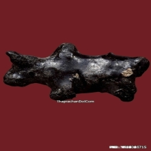 วัวธนูครูบานันตา วัดทุ่งม่านใต้ ปี2500