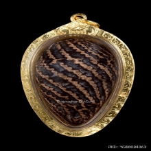 หมากทุยหลวงปู่เอี่ยม วัดหนัง