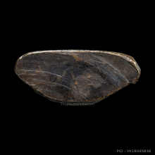 รูปหล่อ 100 ปี พระอาจารย์มั่น 2514 (พิมพ์นิยม นิ้วกระดก) 1