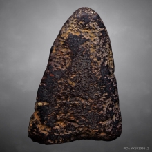 พระเกศาครูบาศรีวิชัย พิมพ์พระเลี่ยง