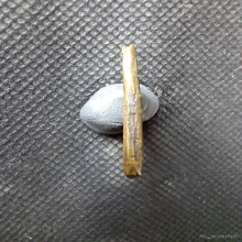 เหรียญหล่อ หลวงพ่อขัน วัดนกกระจาบ