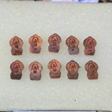 พระปรกใบมะขาม ภปร พ่อท่านคลิ้ง วัดถลุงทอง ปี2530