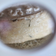 พระปิดตาหลังพระสังกัจจายน์ หลวงพ่อพรหม วัดขนอนเหนือ ปี 2527