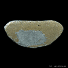 รูปหล่อเบตงหลวงปู่มหาศิลา รุ่นแรก(เบตงอีสาน) หายาก 